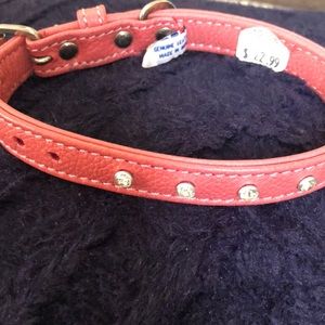 NWT Dog collar